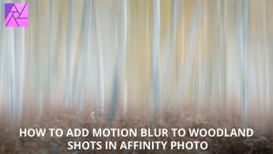 How to add surreal motion blur to woodland photography in Affinity Photo