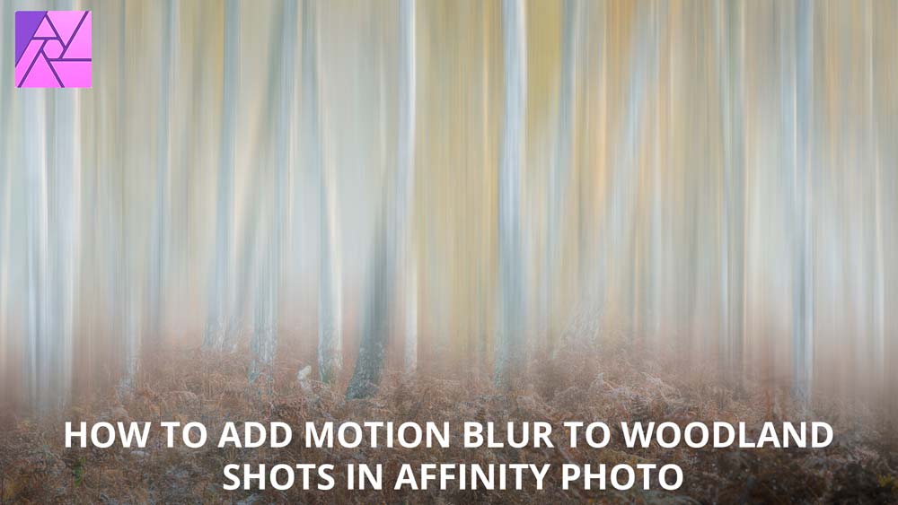 How to add surreal motion blur to woodland photography in Affinity Photo